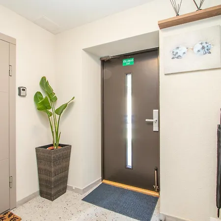 Cohost I Palm Palanga