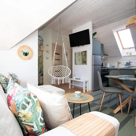 Cohost I Palm Palanga