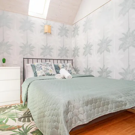 Cohost I Palm * Palanga