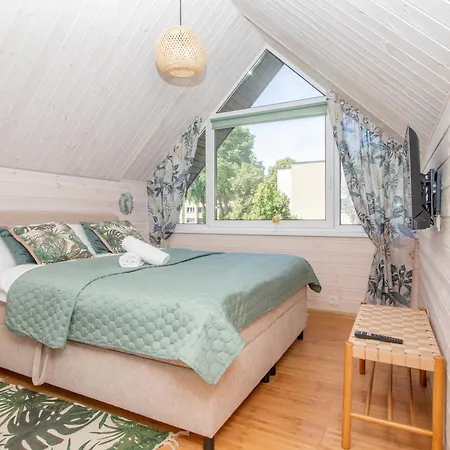 Cohost I Palm Palanga