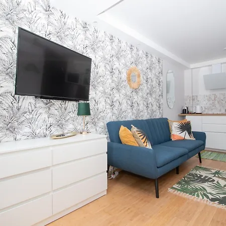 Cohost I Palm Palanga