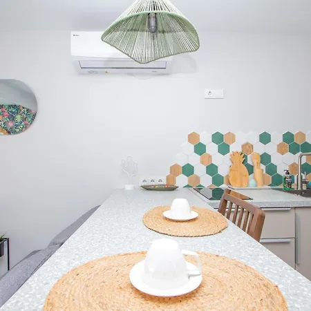 Cohost I Palm * Palanga