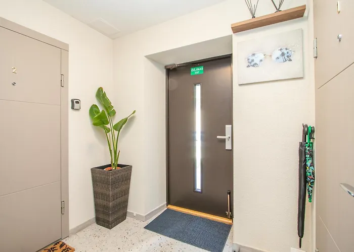 Cohost I Palm Palanga