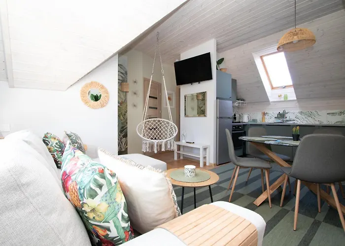 Cohost I Palm פלאנגה