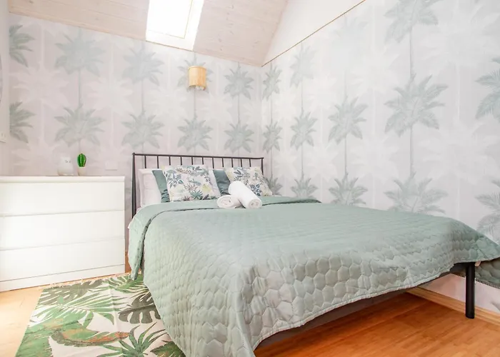 Cohost I Palm * Palanga