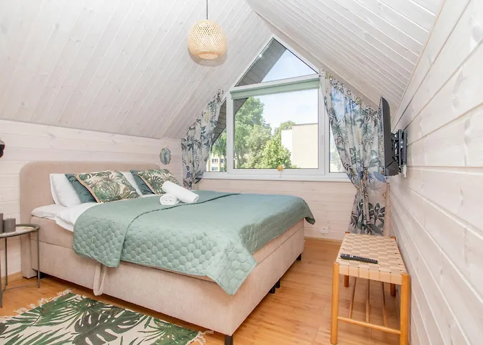 Cohost I Palm Palanga