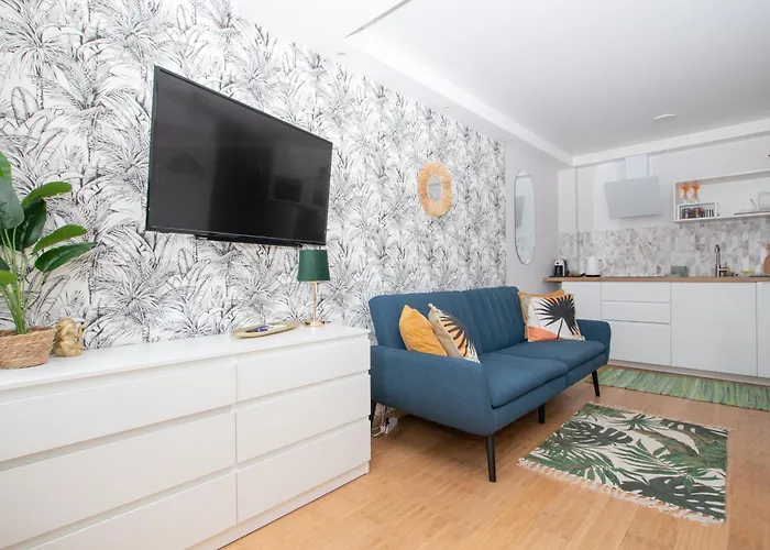 Cohost I Palm Palanga