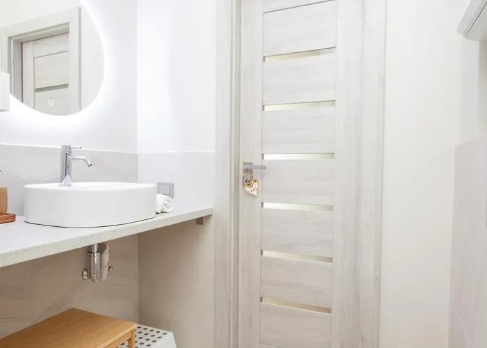 Cohost I Palm Palanga