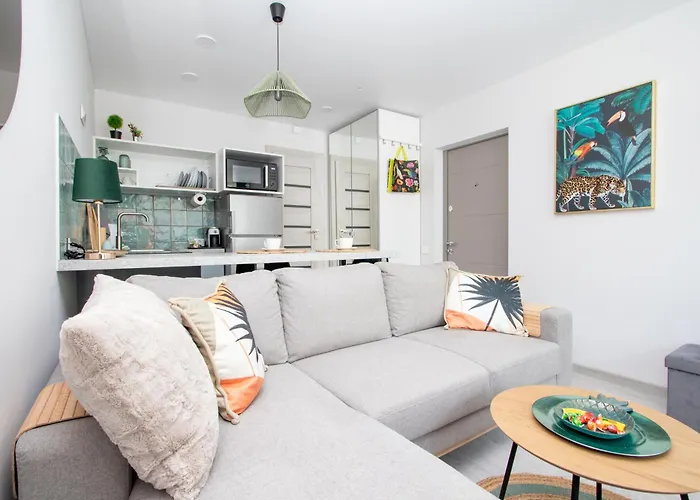 Cohost I Palm * Palanga