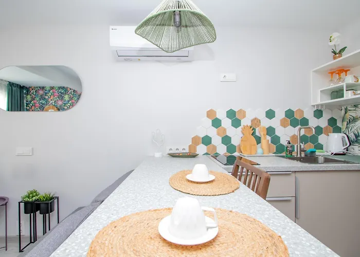 Cohost I Palm * Palanga